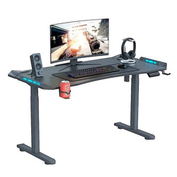 AY Ergonomic Electric Height Adjustable RGB Gaming Sit Stand Desk 120cm / 140cm