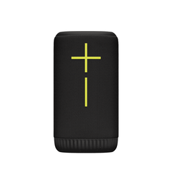 Ultimate Ears EVERBOOM Portable Bluetooth Speaker, 360° Sound, IP67 Waterproof, 20-Hour Battery, Charcoal Black